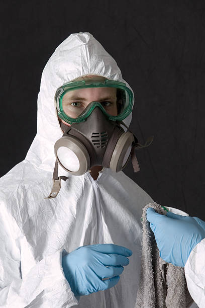 Reliable Brighton, AL Mold Removal Solutions